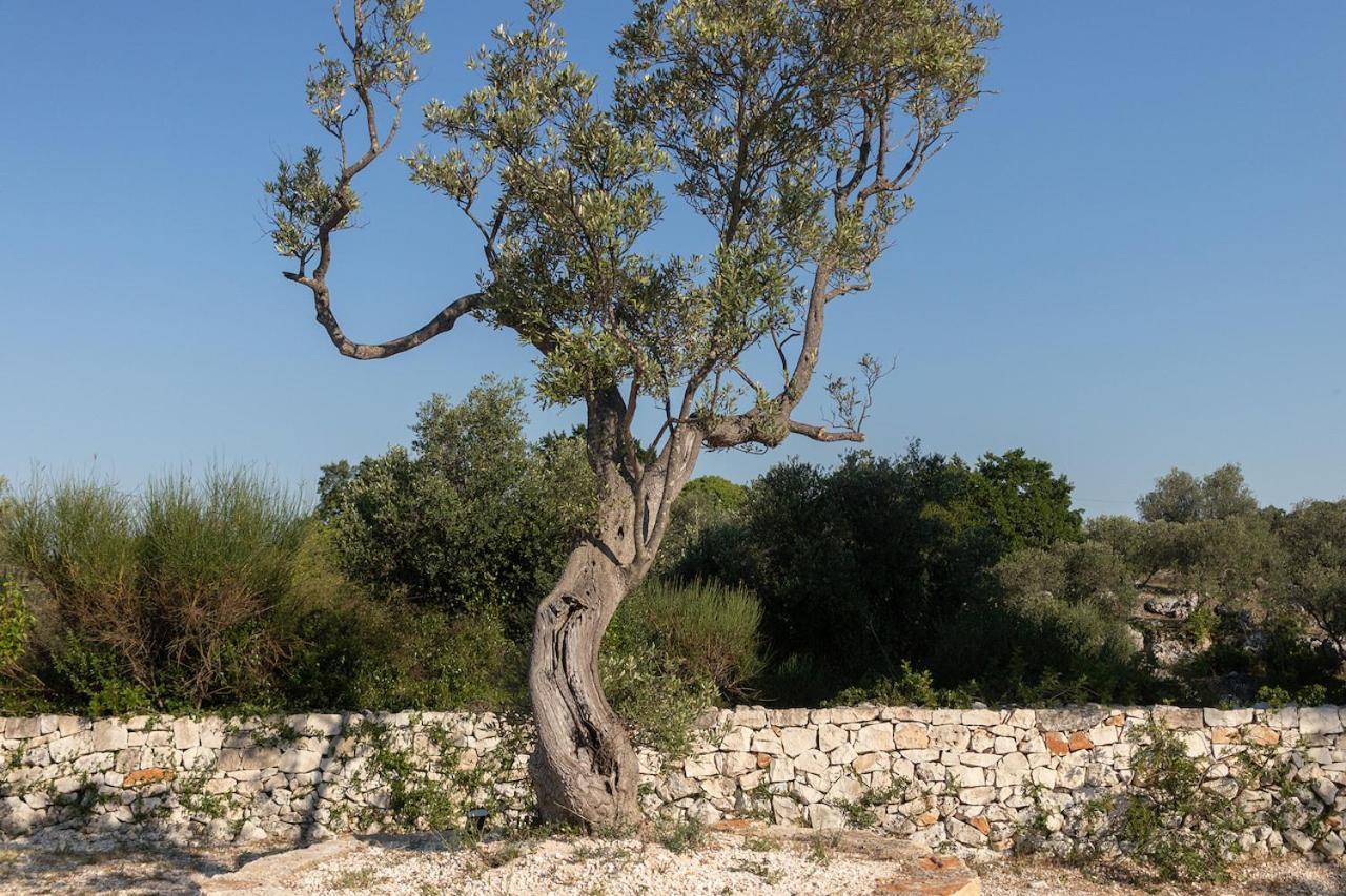 Villa Trullo Carsico By Itriahomes *